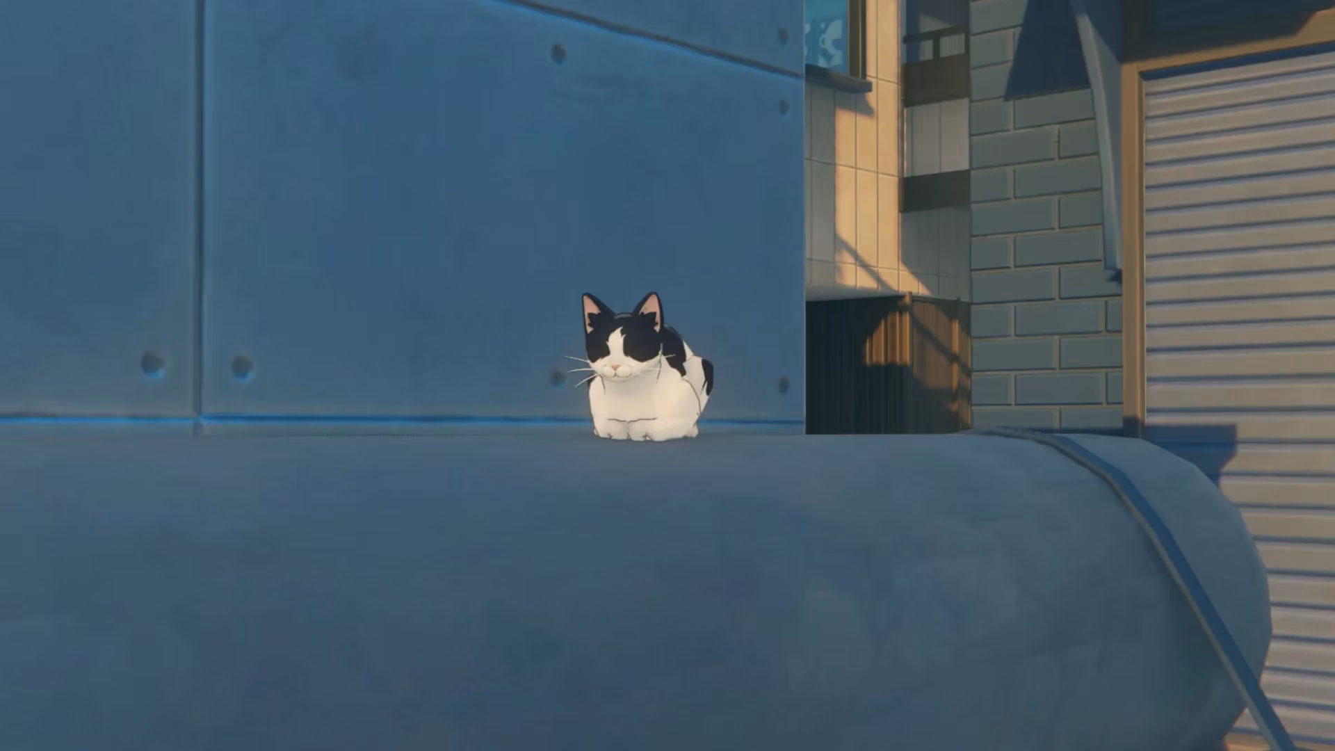 finding-chalky-cookie-and-foamy-my-guide-to-zenless-zone-zero-s-feline-photography-quest-image-2